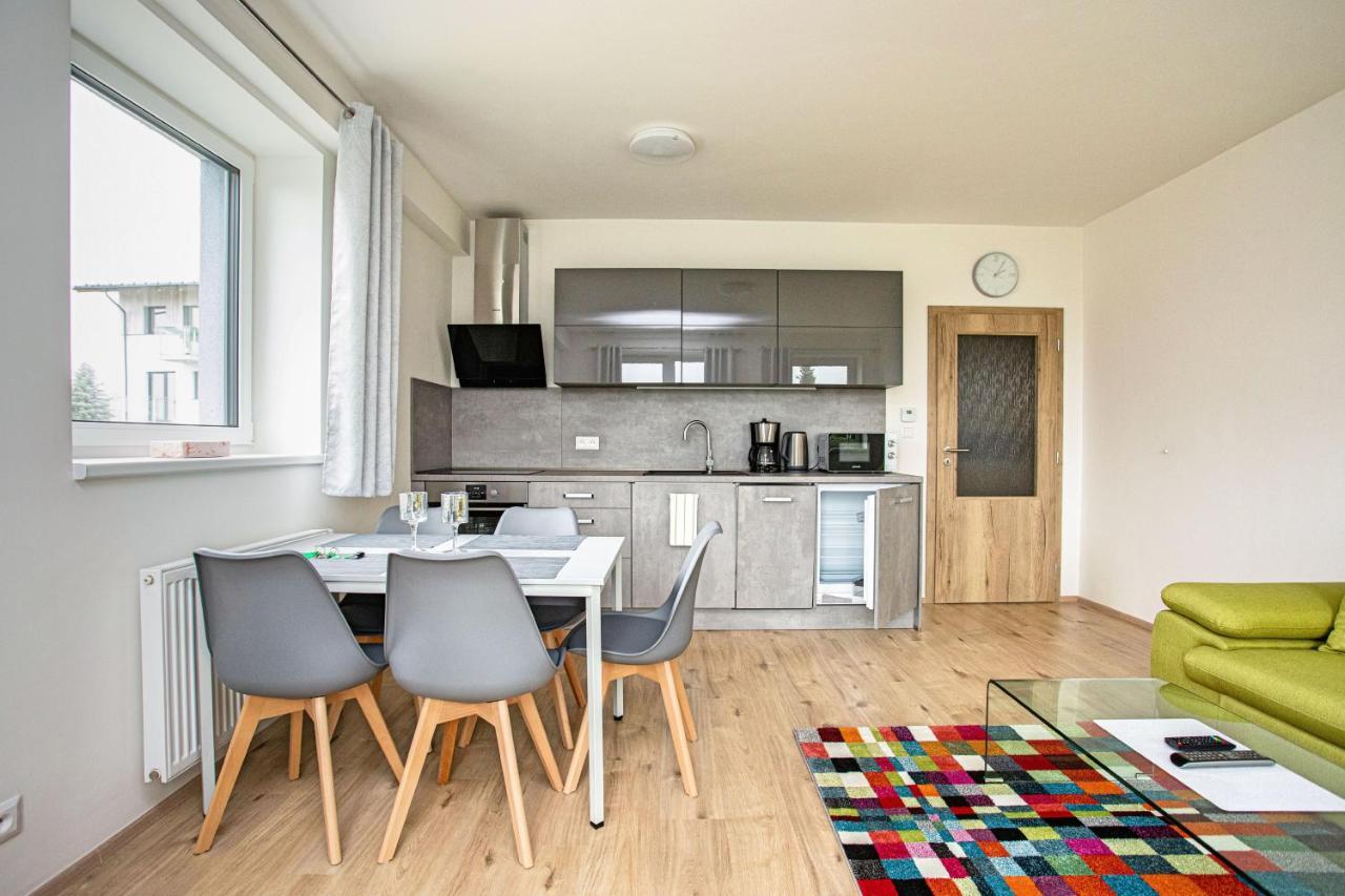 Green Apartment Klinovec By Mountain Ways Loučná pod Klínovcem Kültér fotó