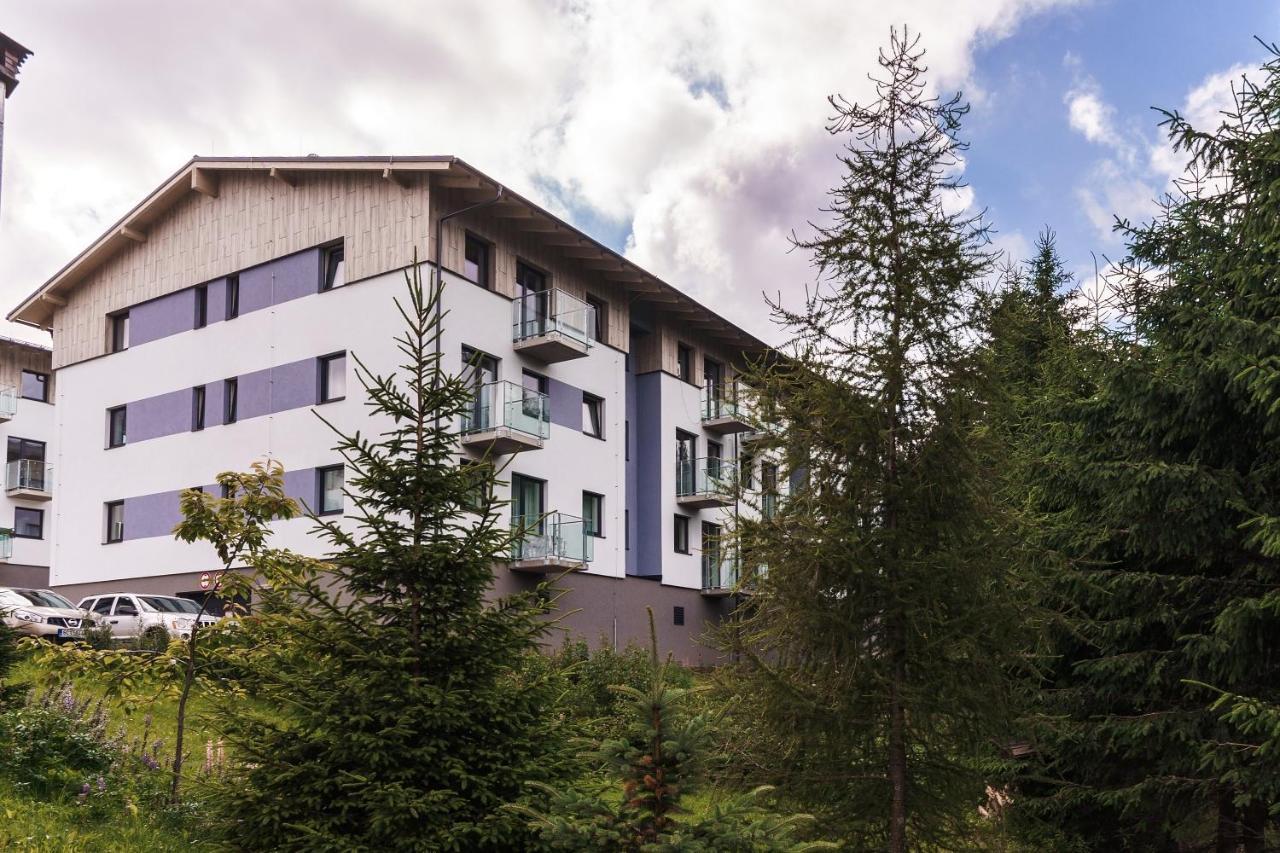 Green Apartment Klinovec By Mountain Ways Loučná pod Klínovcem Kültér fotó
