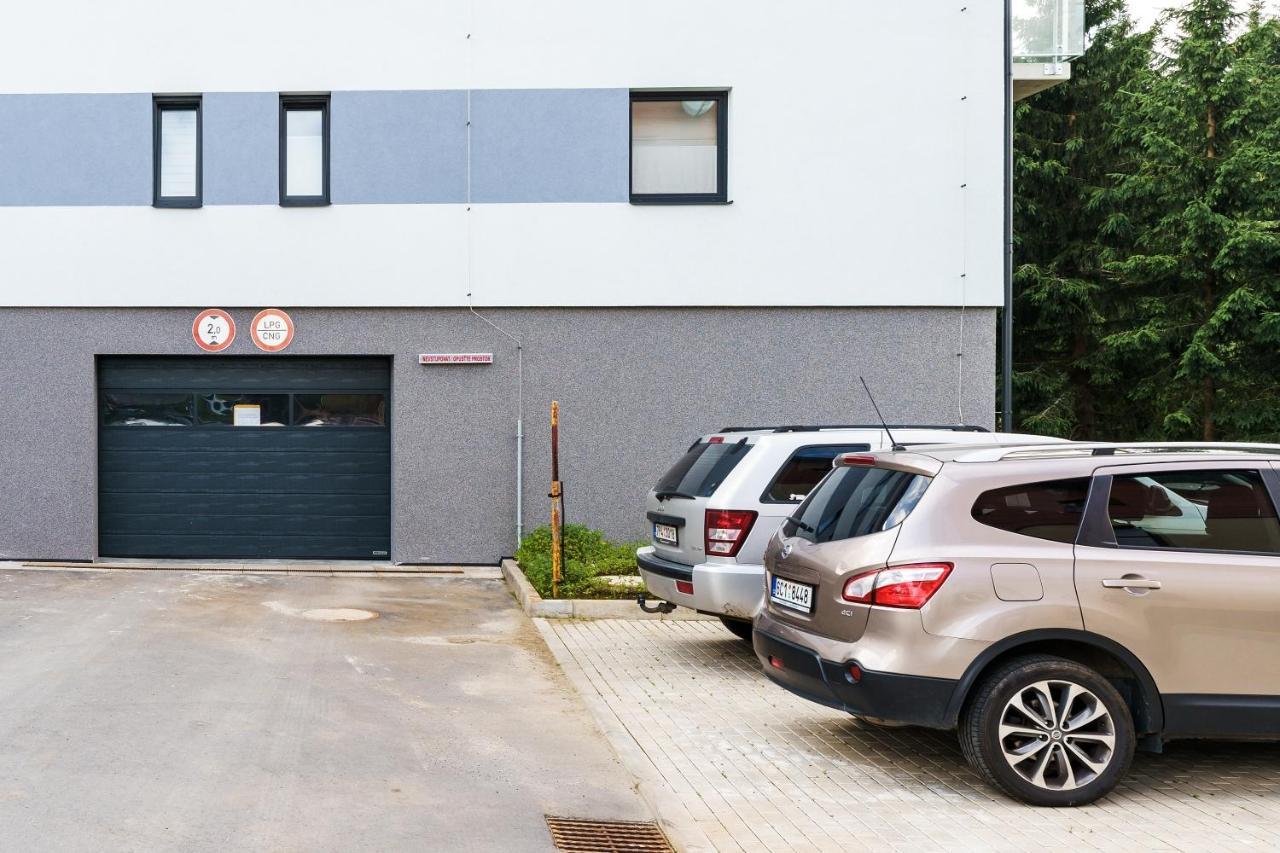 Green Apartment Klinovec By Mountain Ways Loučná pod Klínovcem Kültér fotó